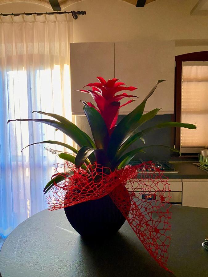 B&B Terrazza Sul Borgo Mogliano Екстериор снимка